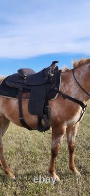 14 CIRCLE Y Western EQUITATION Show Saddle? Great Shape