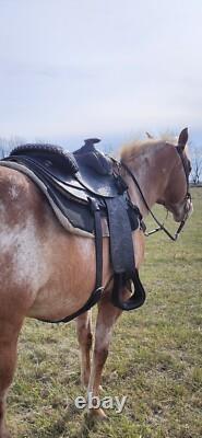 14 CIRCLE Y Western EQUITATION Show Saddle? Great Shape