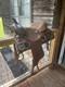 14 Circle Z Western Pleasure Saddle