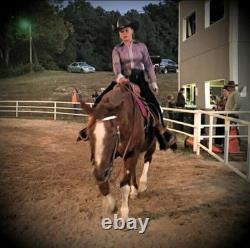 14 Circle Z Western Pleasure Saddle