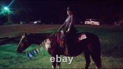 14 Circle Z Western Pleasure Saddle