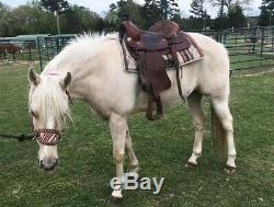 14 inch Western saddle, Full Quarter Horse Bars, Used But In Good Condition