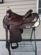 15.5 Circle Y Equitation Western Show Saddle