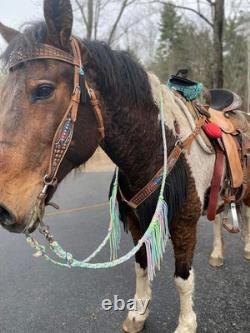 15 Inch Silver Royal-Delilah-5 Piece Western Saddle Package-Crystals-Feathers
