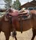 15 Inch Circle Y Ranch Western Pleasure/trail Saddle