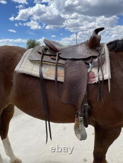 15 inch SIMCO WESTERN SADDLE TRAIL #5552 with Back Cinch