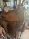 16 Bighorn Western Pleasure Saddle