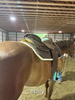 16 Chocolate Western Roughout Saddle