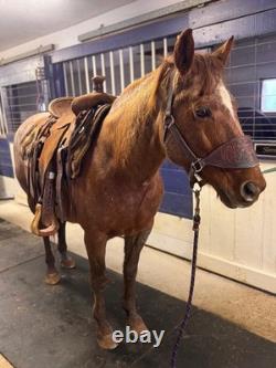 16 Handmade Rough Out Western Ranch Saddle Roping / WORKING Saddle