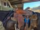 16 Inch Barrel Saddle