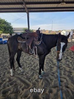 16 Inch Barrel Saddle