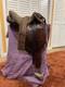16 James Saddlery Australian Outback Saddle
