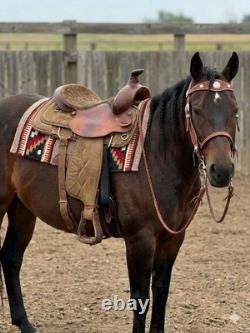 16'' QH big horn #110 Brown Leather & Cordura Western Trail Saddle Light Weight