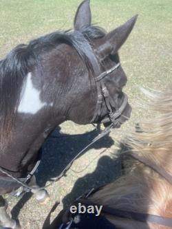 16 Ranch Saddle