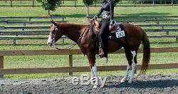 16 Tex Tan Pleasure Show Equitation Saddle FQHB