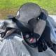 Abetta Airlite Western Trail Endurance Saddle 16 Seat 7 Gullet Wide Tree