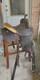 Ammerman 13 Western Saddle