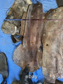 Antique Mexican Charro Saddle Tree With Original Pieces Of Leather & Stirrups