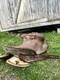 Antique Western Horse Saddle From Farm Wyoming Working Ranch, Vintage Cowboy