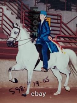 Beautiful Final Touch Custom Silk Saddle Seat Show Outfit