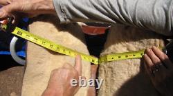 Big Horn Horse Saddle p933 16 seat 24 long 6 Gullet