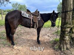 Bighorn 501 Cordura Western Trail Saddle 16 Lightweight