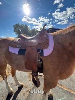 Billy Cook Used Western saddle Comfy 16 seat! Too narrow for my new horse