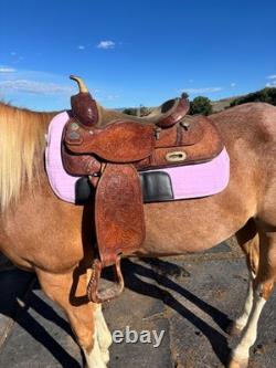 Billy Cook Used Western saddle Comfy 16 seat! Too narrow for my new horse
