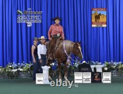 Blue Ribbon Tack Custom Western Ranch Saddle 16