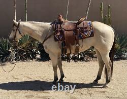 Blue Ribbon Tack Custom Western Ranch Saddle 16