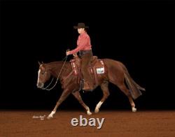 Blue Ribbon Tack Custom Western Ranch Saddle 16