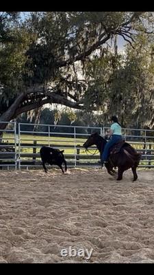Blue River Ranch Cutter Saddle 17