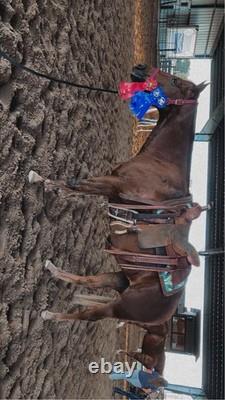 Blue River Ranch Cutter Saddle 17