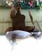 Brown Leather Floral Tooled Traditional Western Horse Saddle 1186c