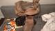 Brown Leather Western Pleasure/trail Saddle 15 In Traditional Design For Horse