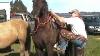 Bucking Strap Nightlatch Recognizing Signs And Tests Of A Fresh Horse Rick Gore Horsemanship