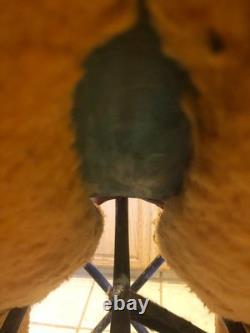 Cactus Roping Saddle 15 Lightly Used