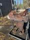 Champion 805 Western Show Saddle 15 Seat. In Great Condition. Missing 2 Concho