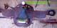 Circle Y 16 Equitation Western Show Saddle/sterling Silver Embellish. Hand Made