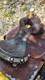 Circle Y 16 Equitation Western Show Saddle/sterling Silver Embellish. Hand Made