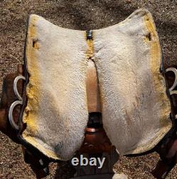 Circle Y Equitation Western Show Saddle 14 for Horsemanship and All Around Used