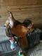 Circle Y Salt River Flex2 Western Trail Saddle 15in