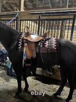 Circle Y Salt River Flex2 Western Trail Saddle 15in