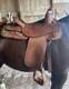Circle Y Western Equitation Saddle