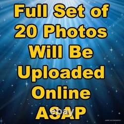 Colorado Saddlery Roping Western Saddle, 15.5 Seat, Wide (Read Description)