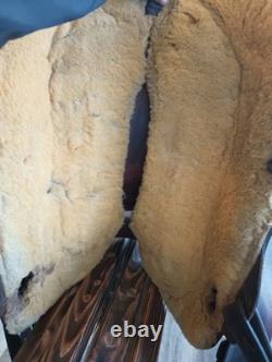 Crates Trail Western Pleasure Ranch Saddle 16 #2162 QH Bars Equifit Tree