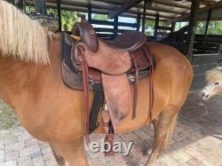 DP Flex Fit Western Saddle