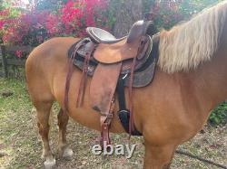 DP Flex Fit Western Saddle