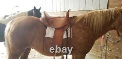 DP Saddle Quantum Western Short and Light S2 Western Dressage