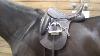 Does It Fit Finding A Used Dressage Saddle By Equi Learn